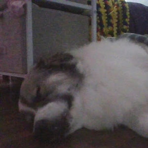 Meet your Posher, Bethany